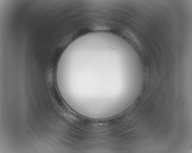 X0000074930549200609010922