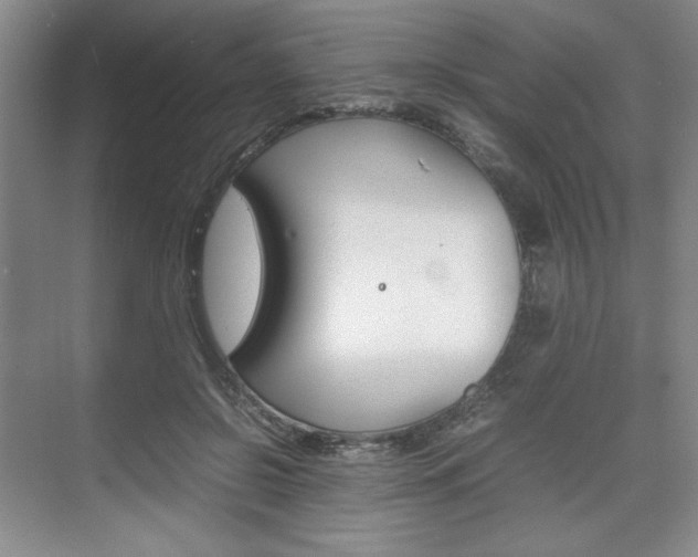 X0000074930550200609010922