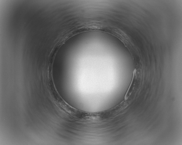 X0000074930552200609010922
