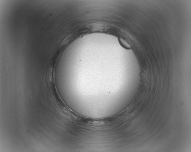 X0000074930554200609010922