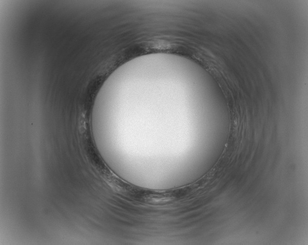 X0000074930555200609010922