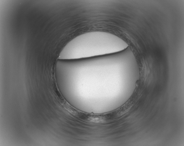 X0000074930557200609010922