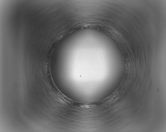 X0000074930558200609010922