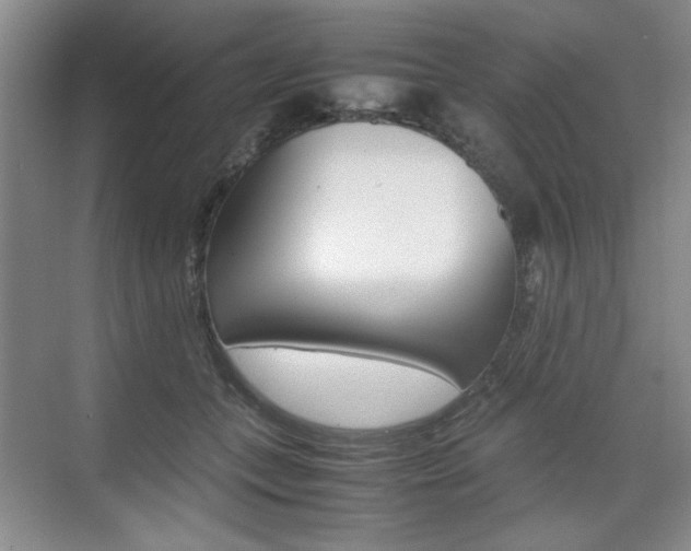 X0000074930559200609010922