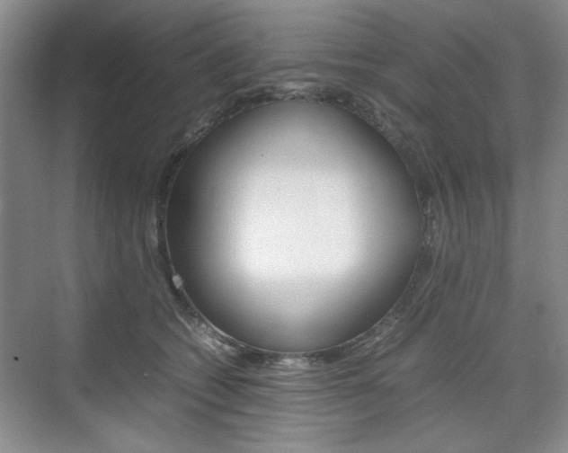 X0000074930562200609010922