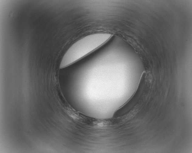 X0000074930564200609010922
