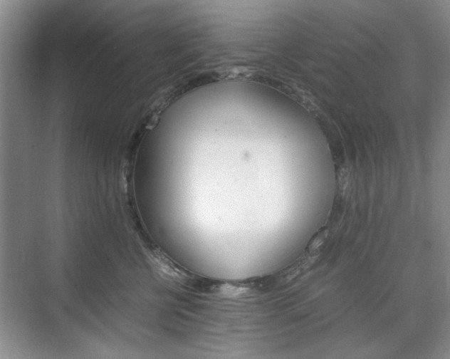 X0000074930570200609010922