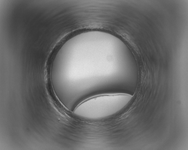 X0000074930584200609010921