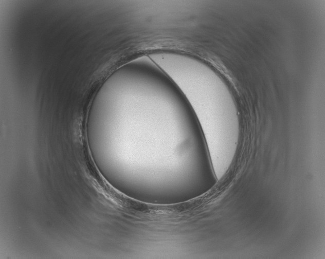 X0000074930585200609010921