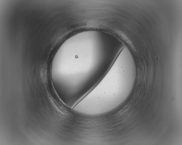 X0000074930588200609010921