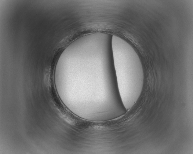 X0000074930590200609010921