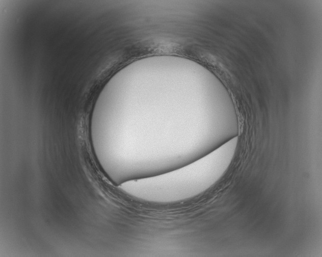 X0000074930591200609010921