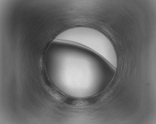X0000074930597200609010921