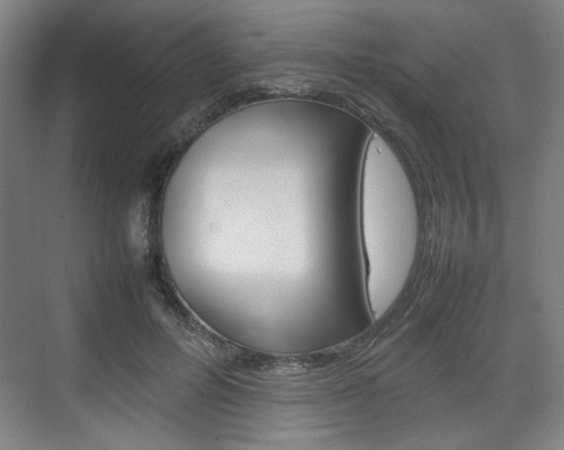 X0000074930600200609010921