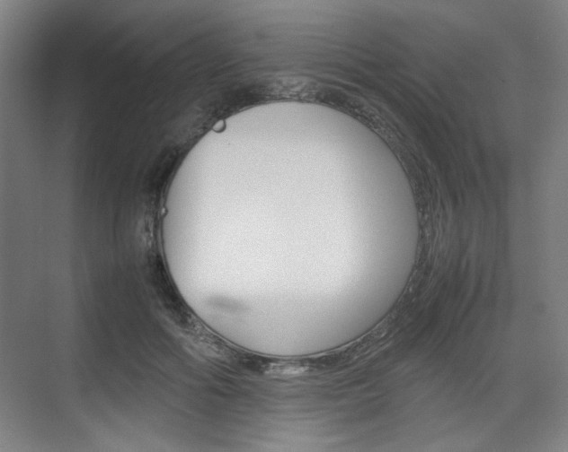 X0000074930602200609010921