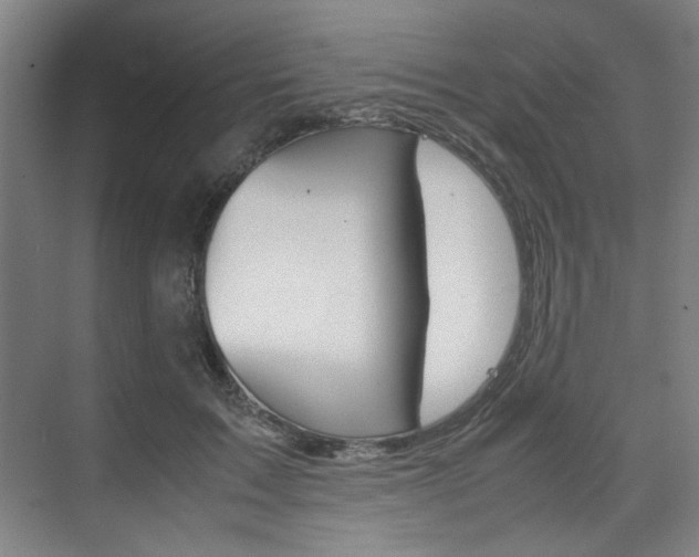 X0000074930603200609010921