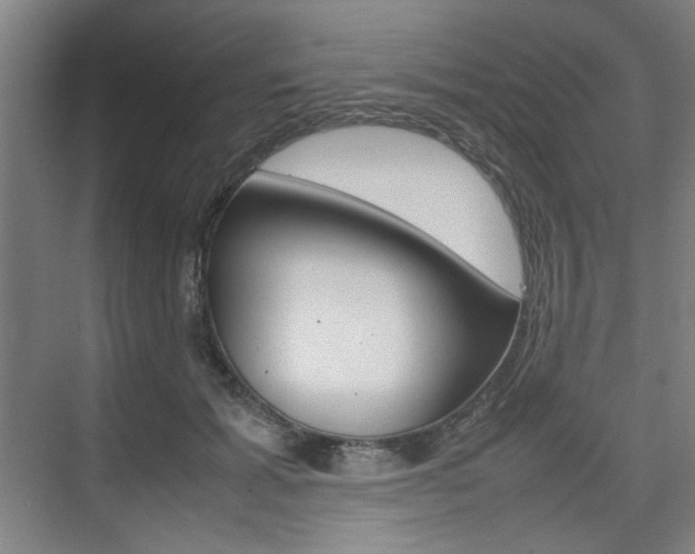 X0000074930605200609010921
