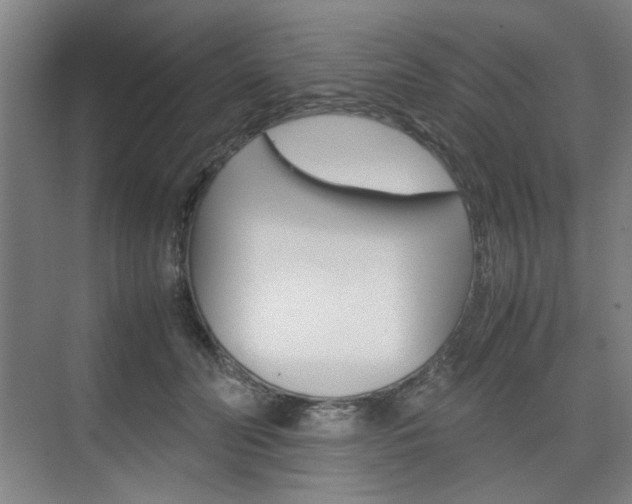 X0000074930606200609010921