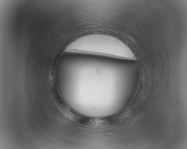 X0000074930607200609010921