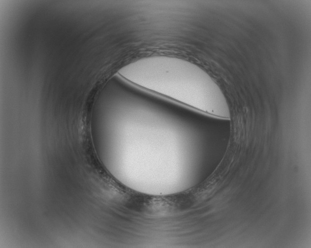 X0000074930608200609010921