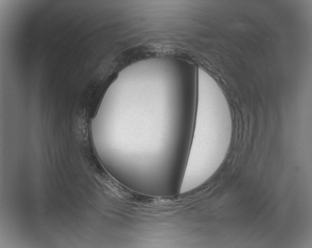 X0000074930609200609010921