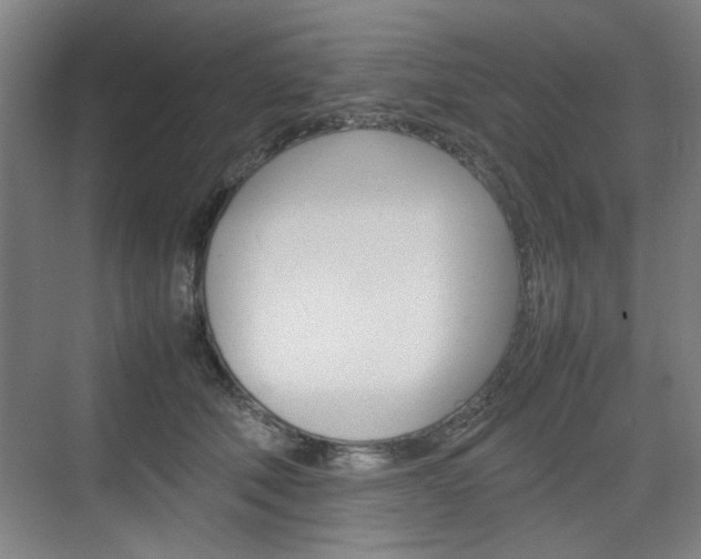 X0000074930610200609010921