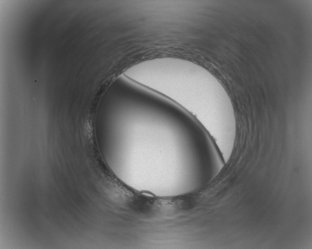 X0000074930613200609010921