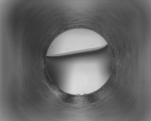 X0000074930615200609010921