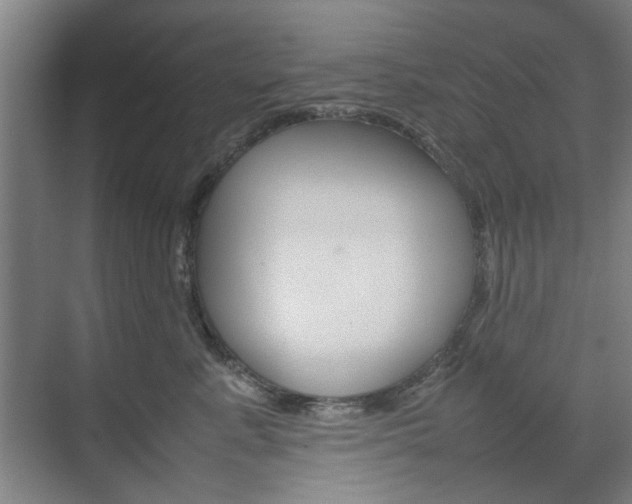 X0000074930619200609010921