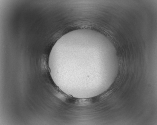 X0000074930622200609010921