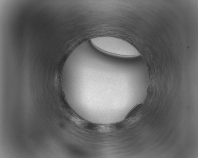 X0000074930623200609010921