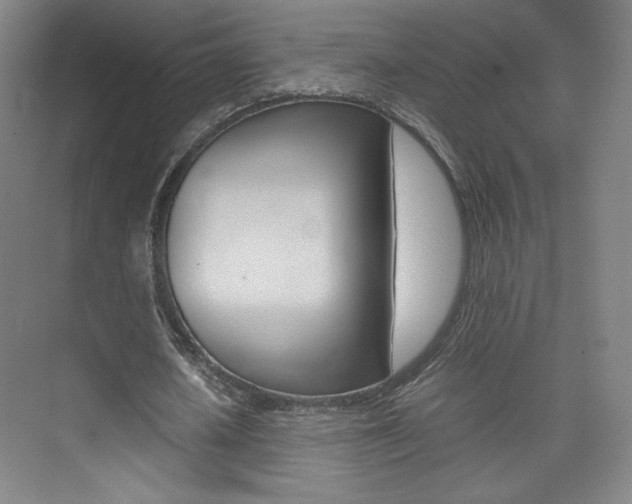 X0000074930626200609010920