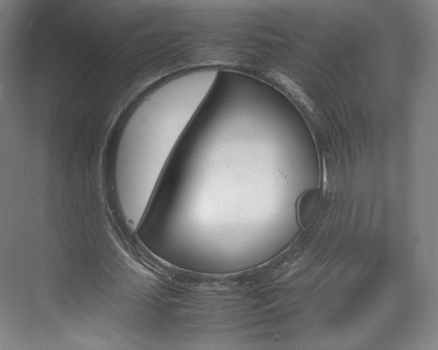 X0000074930627200609010920