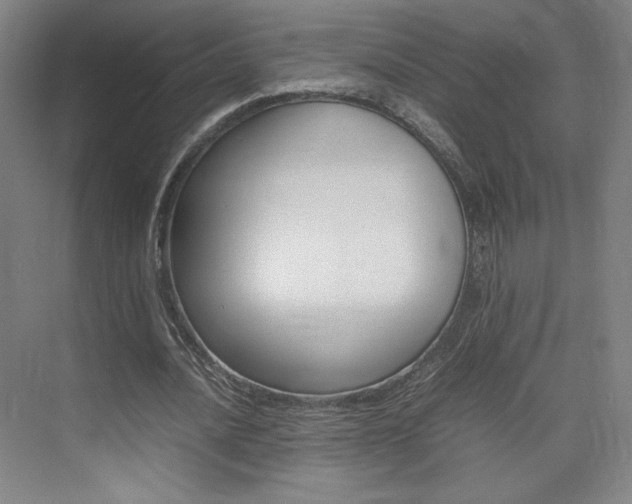 X0000074930628200609010920