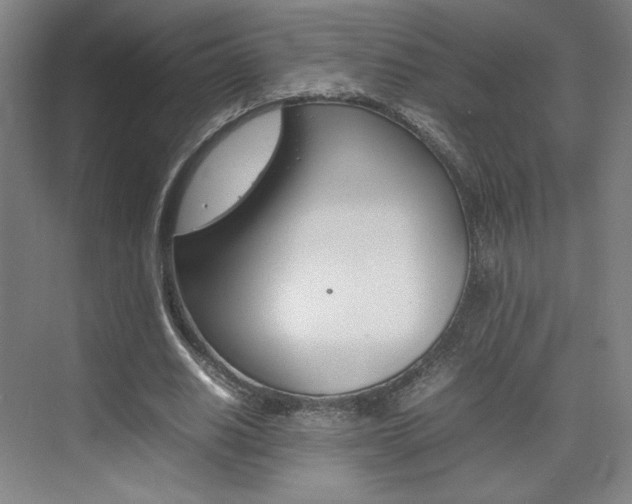 X0000074930630200609010920
