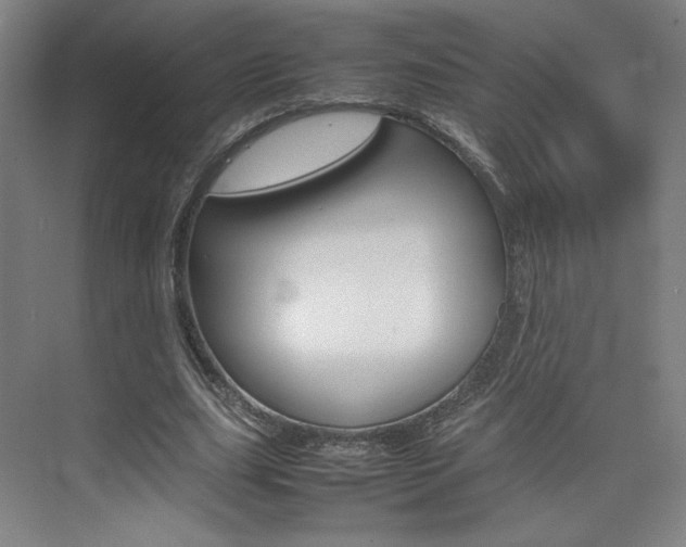 X0000074930631200609010920
