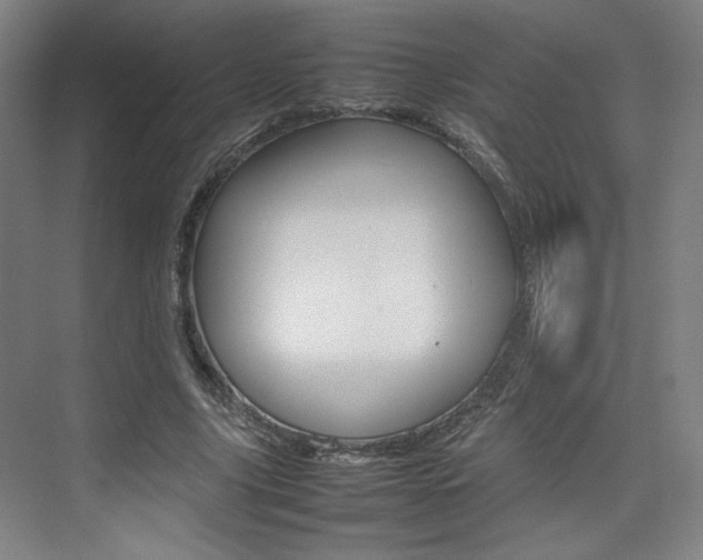 X0000074930635200609010920
