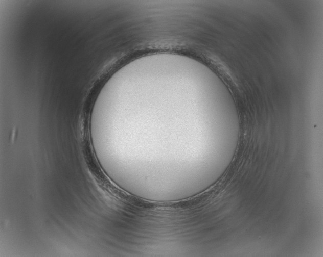 X0000074930636200609010920