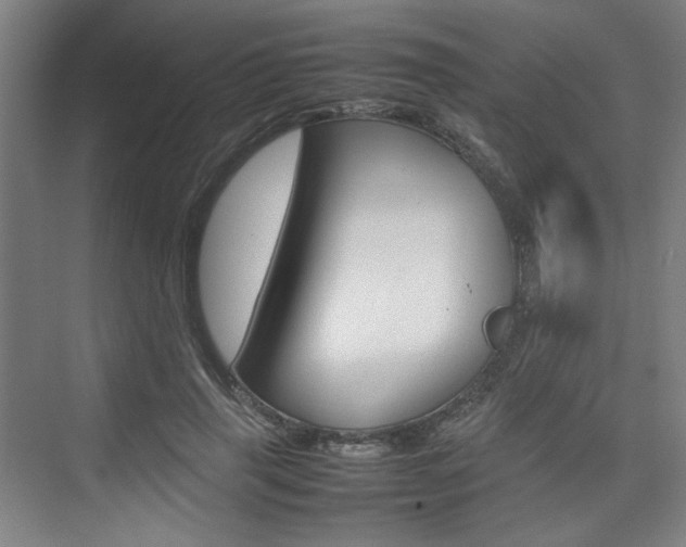 X0000074930645200609010920