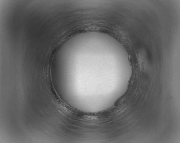 X0000074930649200609010920