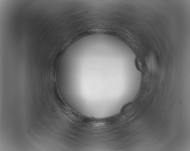 X0000074930651200609010920
