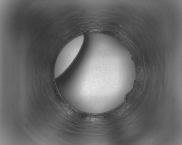 X0000074930655200609010920