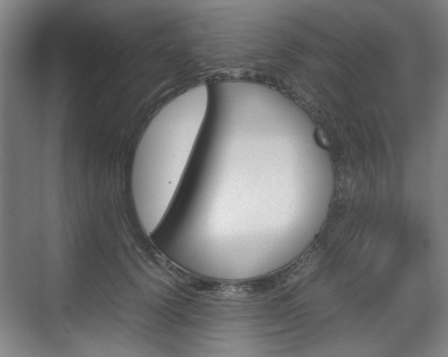 X0000074930656200609010920