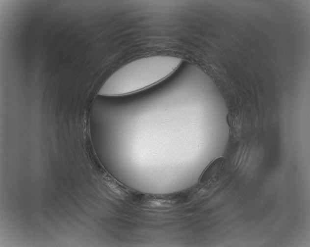 X0000074930657200609010920