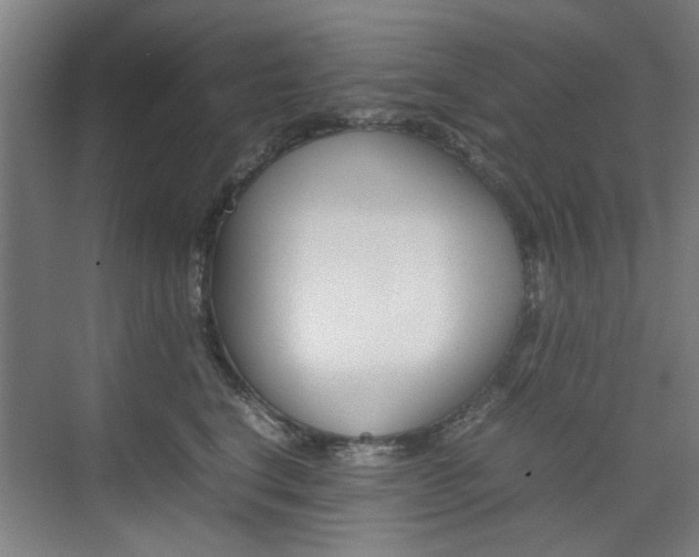 X0000074930664200609010920