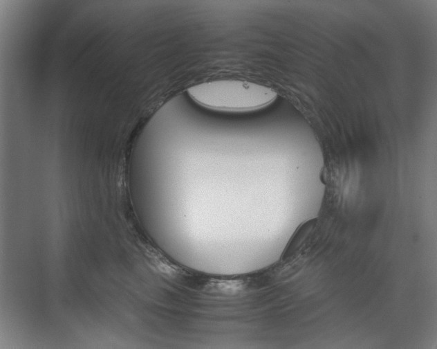 X0000074930665200609010920
