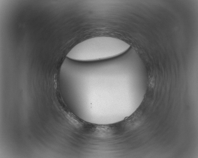 X0000074930666200609010920
