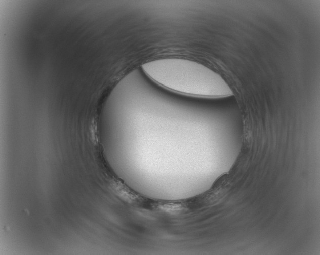 X0000074930669200609010920