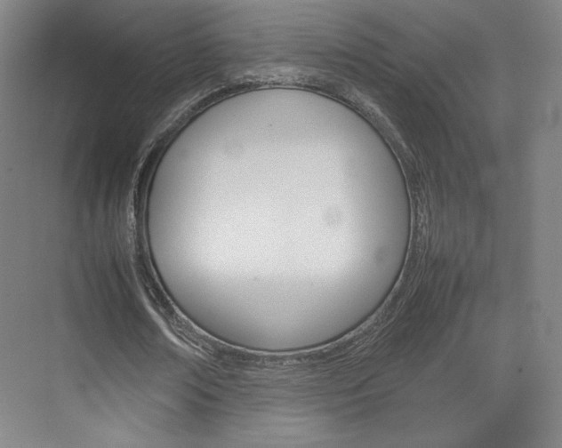 X0000074930674200609010920