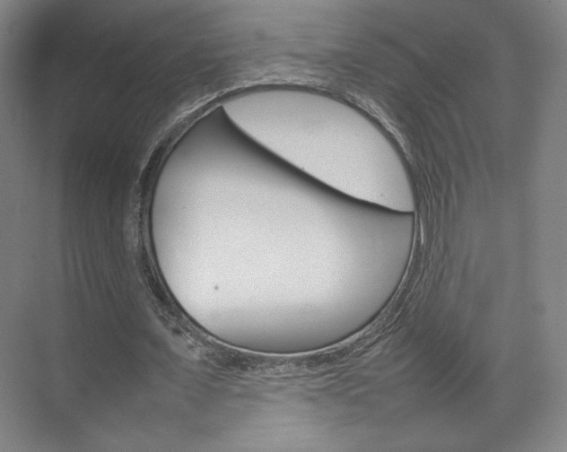 X0000074930675200609010920